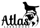 ATLAS LABRADORS, LLC